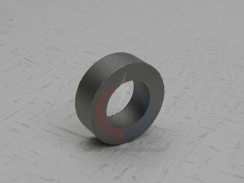 SmCo Magnet98