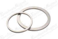 n45h ring neodymium magnets