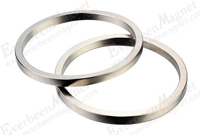 Ring Shape ndfeb Magnet