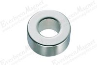 multipole circular ring magnet